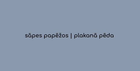 sāpes papēžos | plakanā pēda