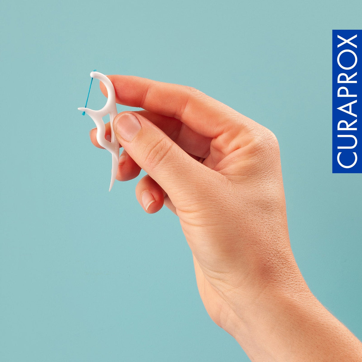 Dental floss in holder 30pcs | Dental floss picks