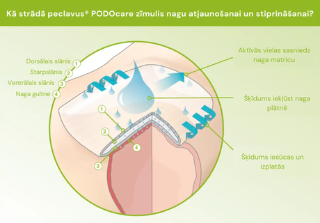 Zīmulis nagu atjaunošanai un stiprināšanai | PODOcare Nagel Pflegestift - dynasty.lv