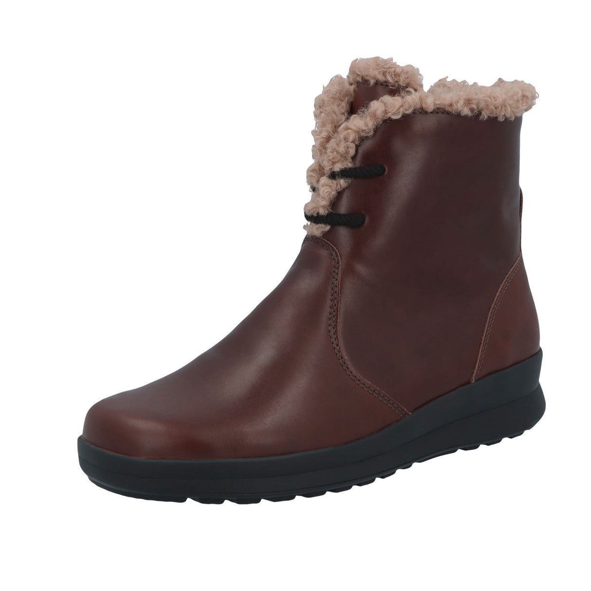 NANDINA | Zābaki | Brūni