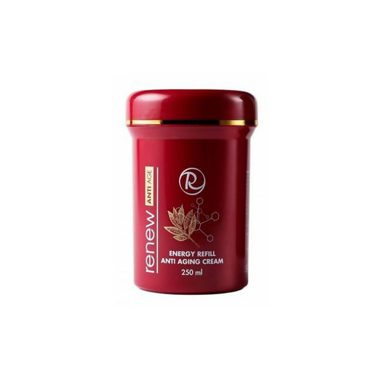 Renew Energy Anti Aging Cream – Barojošs pretnovecošanās krēms