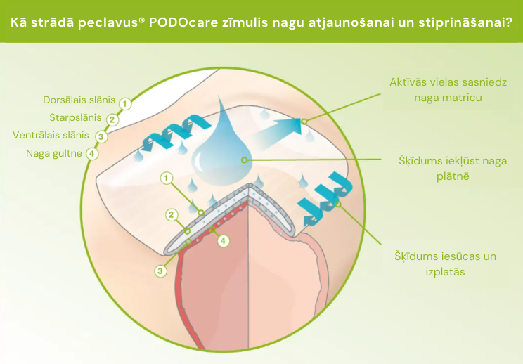 Zīmulis nagu atjaunošanai un stiprināšanai | PODOcare Nagel Pflegestift