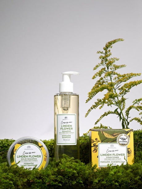 Magrada Linden Flower matu kopšanas līnijas šampūns un kondicionieris uz sūnas